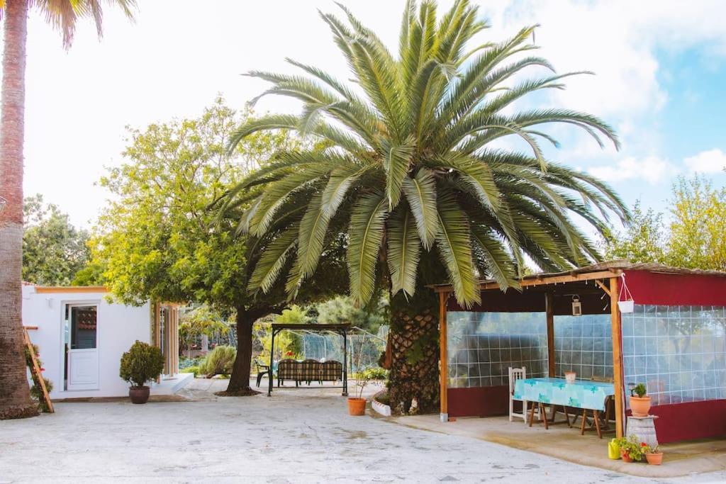 Casita Gopal Villa Icod De Los Vinos Bagian luar foto